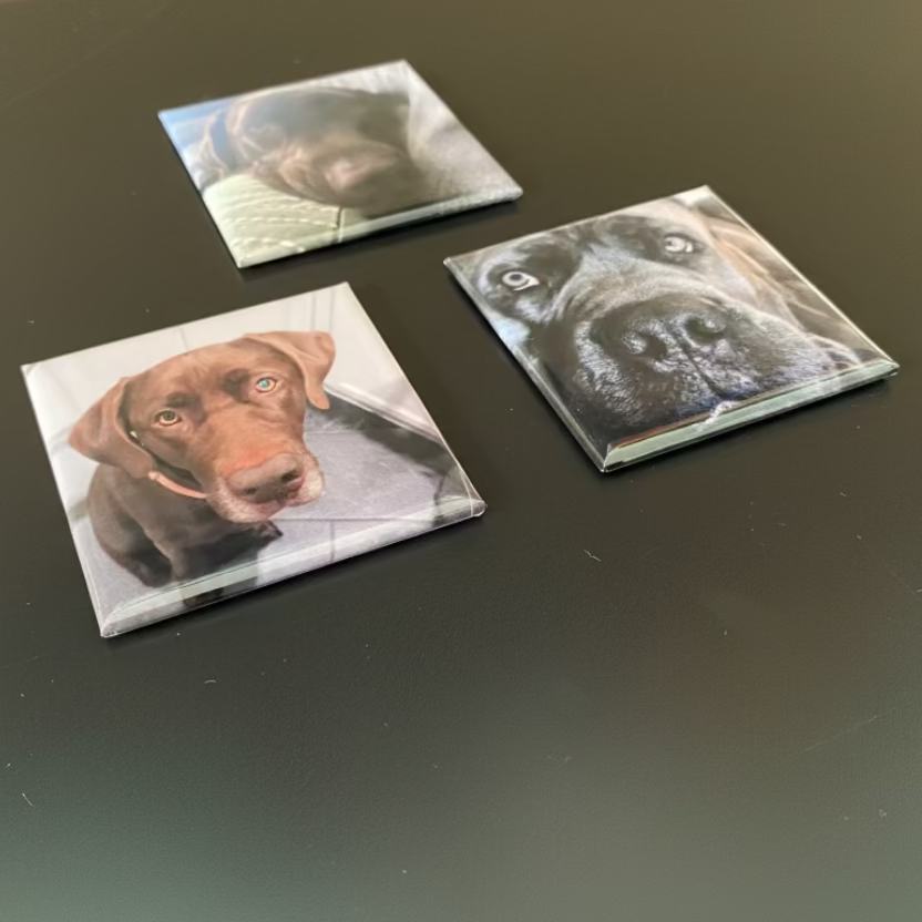 Three 2x2in square magnets each of a photo of a dog